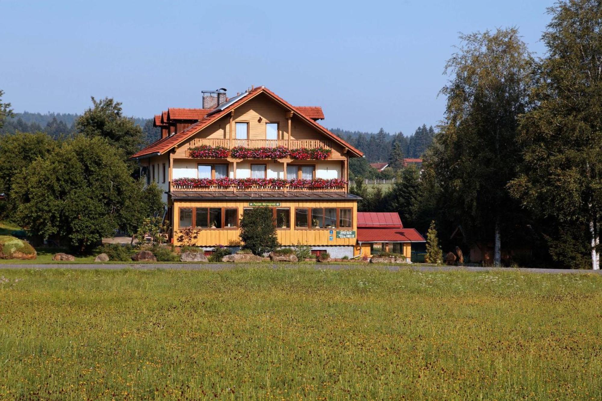 Neuschönau Pension Wiesengrund מראה חיצוני תמונה